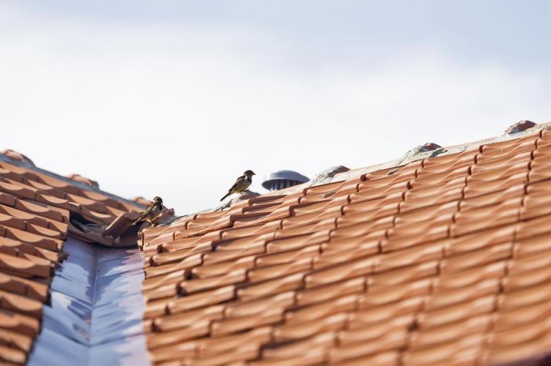 Pose de couverture &agrave; Droue-sur-Drouette : garantir durabilit&eacute; et esth&eacute;tique